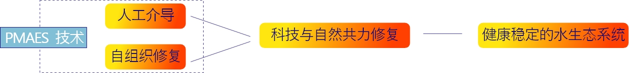 君临国际