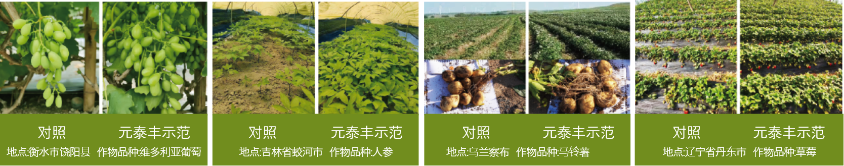君临国际