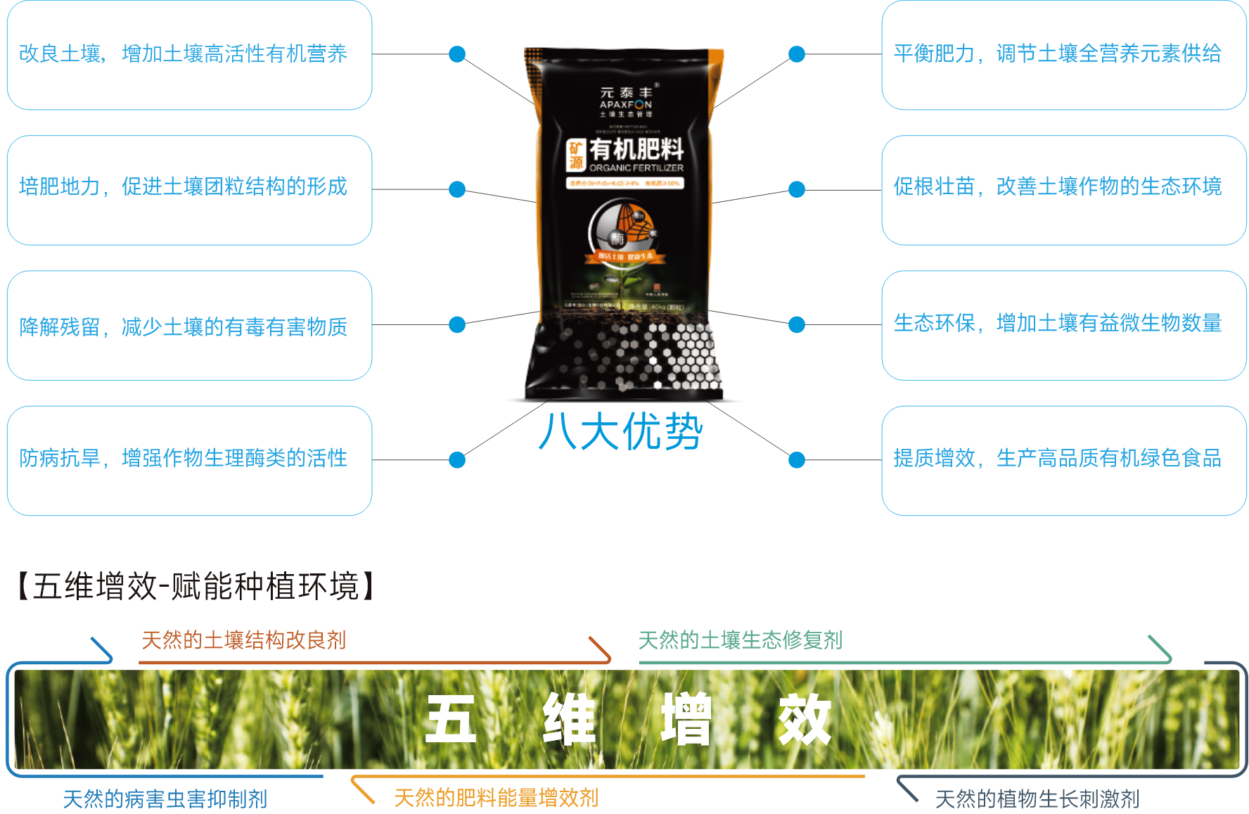 君临国际