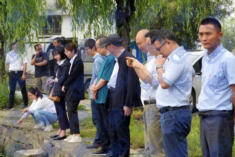 君临国际