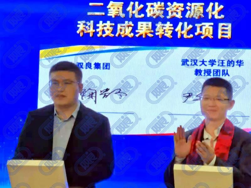 君临国际